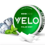 Polar Mint